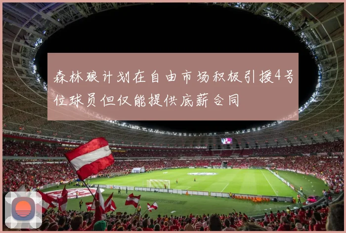 森林狼计划在自由市场积极引援4号位球员但仅能提供底薪合同
